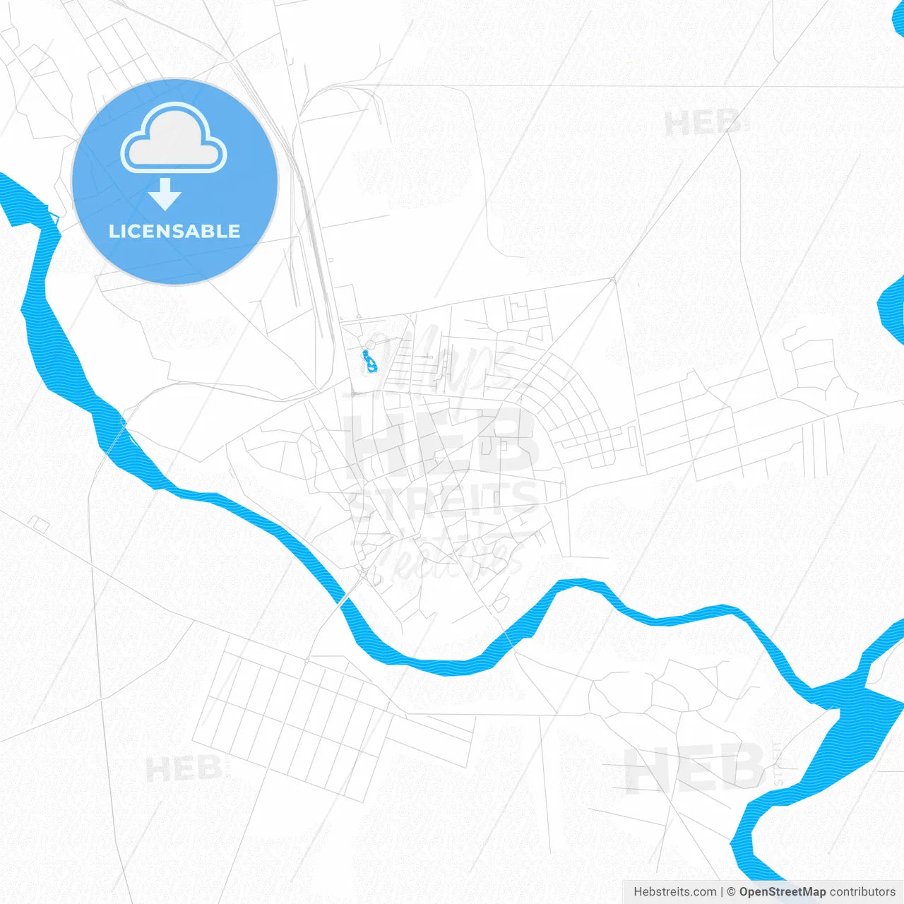 Roman, Romania PDF vector map with water in focus