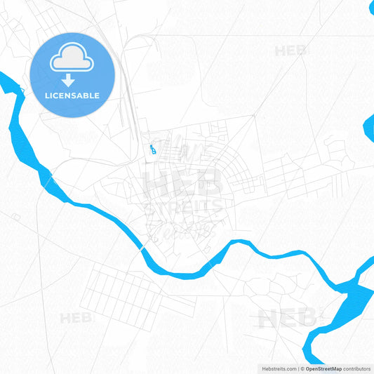Roman, Romania PDF vector map with water in focus