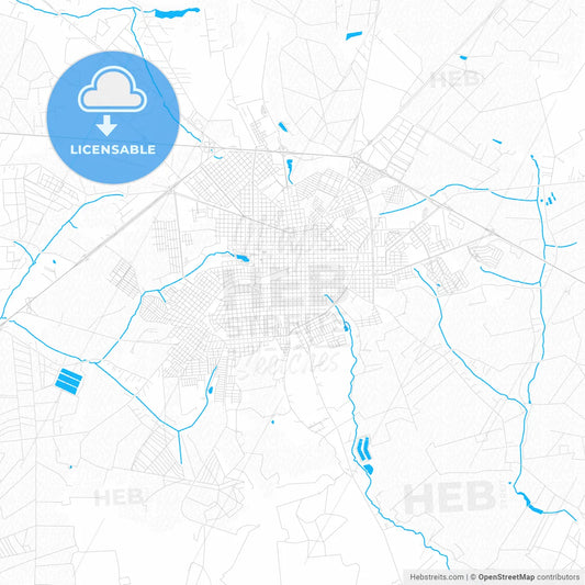 Assis, Brazil PDF vector map with water in focus