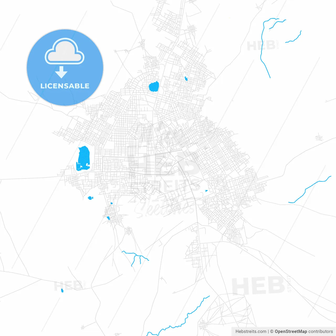 Zinder, Niger PDF vector map with water in focus