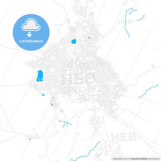 Zinder, Niger PDF vector map with water in focus