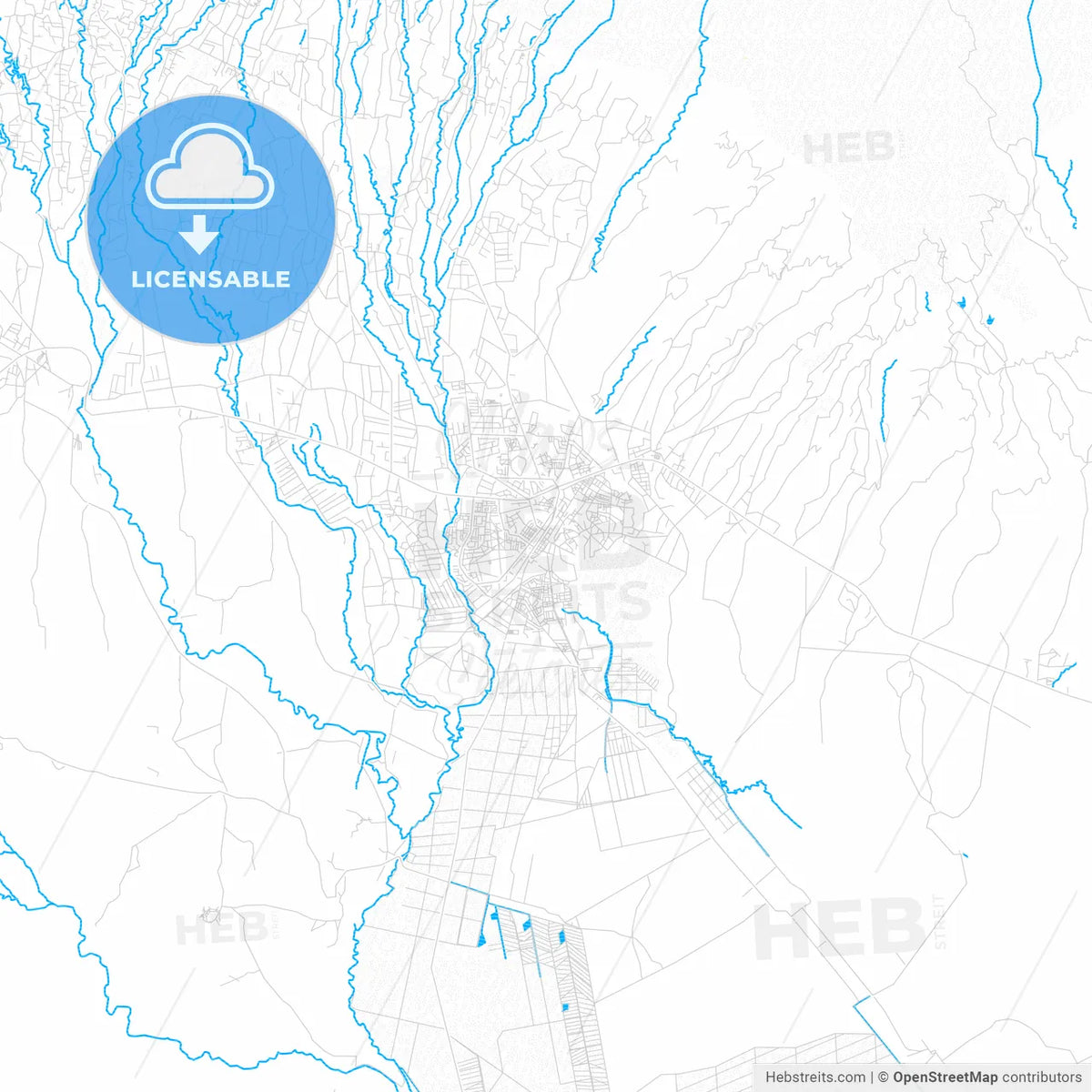 Moshi, Tanzania PDF vector map with water in focus