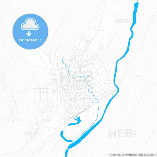 Bârlad, Romania PDF vector map with water in focus