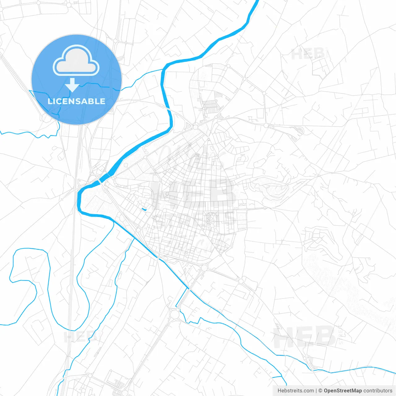 Alzira, Spain PDF vector map with water in focus
