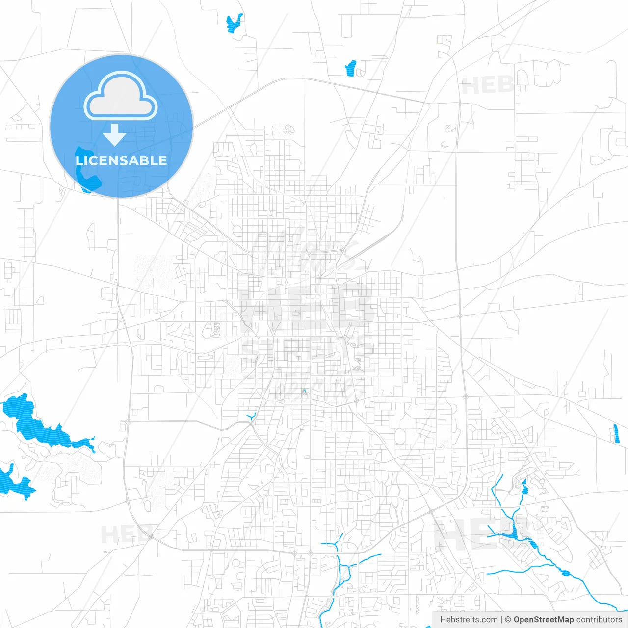 Tyler, Texas, United States, PDF vector map with water in focus