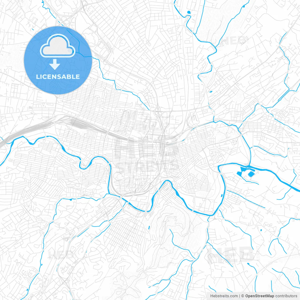 Roanoke, Virginia, United States, PDF vector map with water in focus