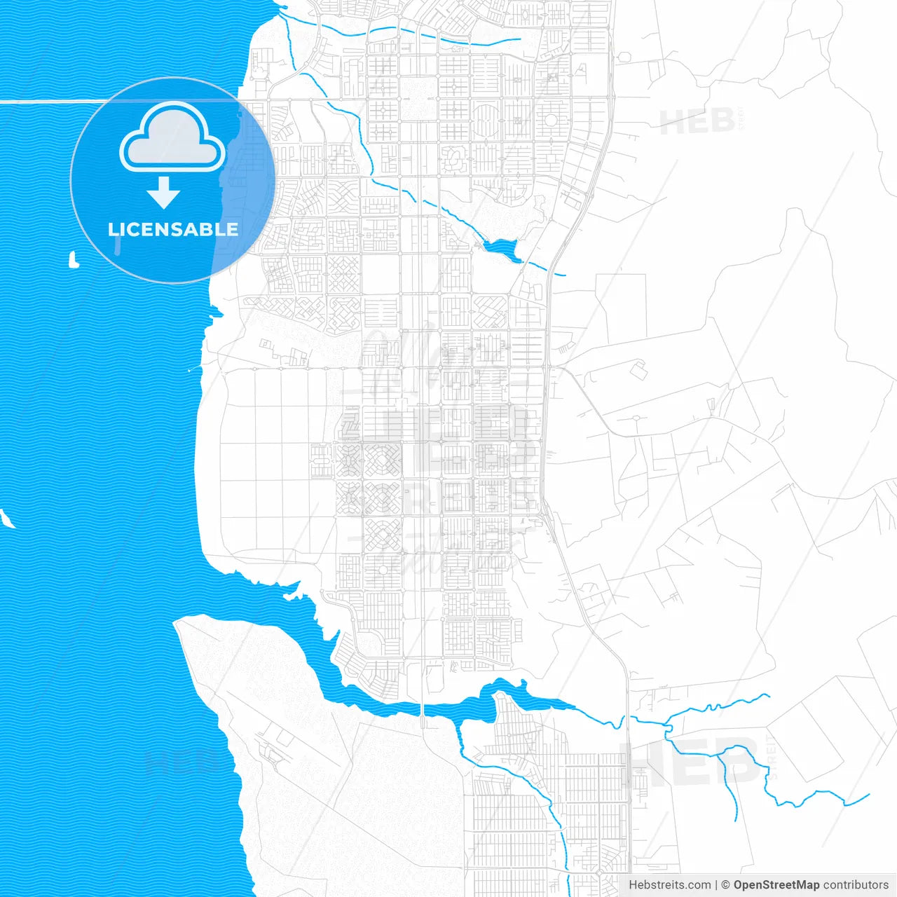 Palmas, Brazil PDF vector map with water in focus