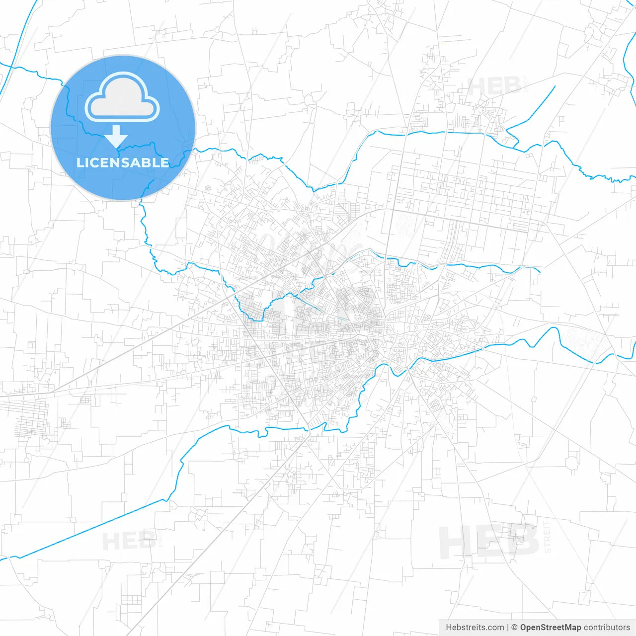 Sialkot, Pakistan PDF vector map with water in focus