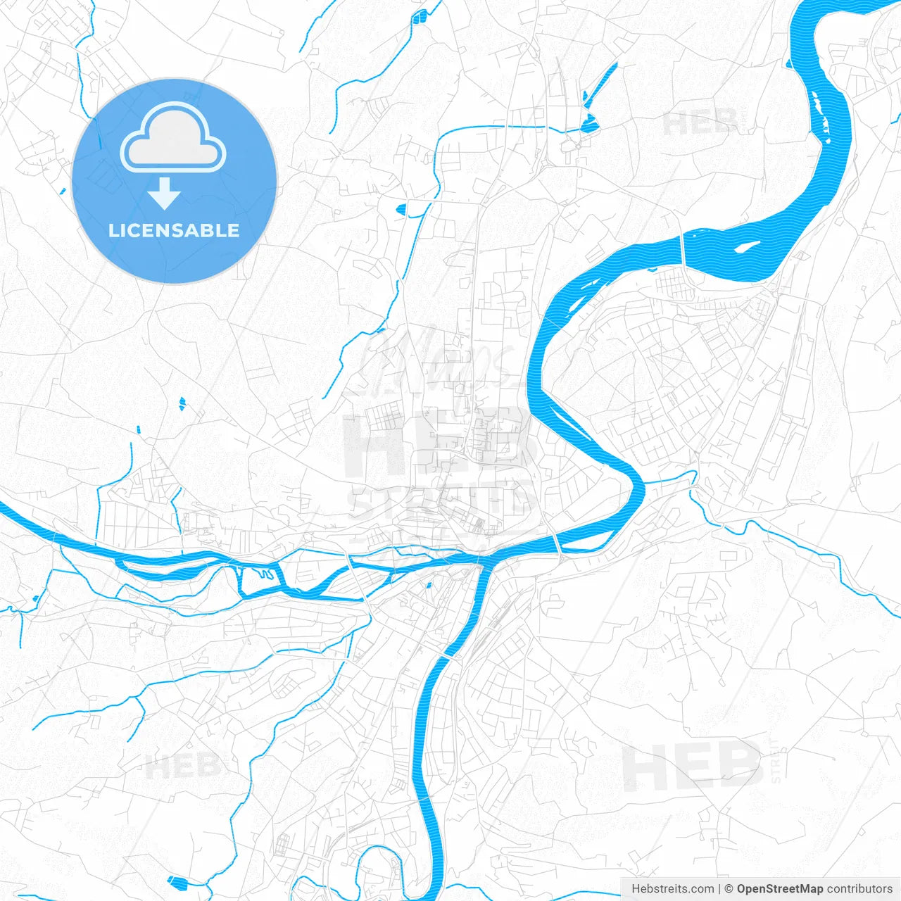 Steyr, Austria PDF vector map with water in focus