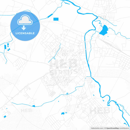Slonim, Belarus PDF vector map with water in focus
