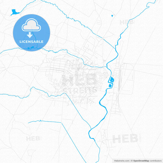 Sfântu Gheorghe, Romania PDF vector map with water in focus