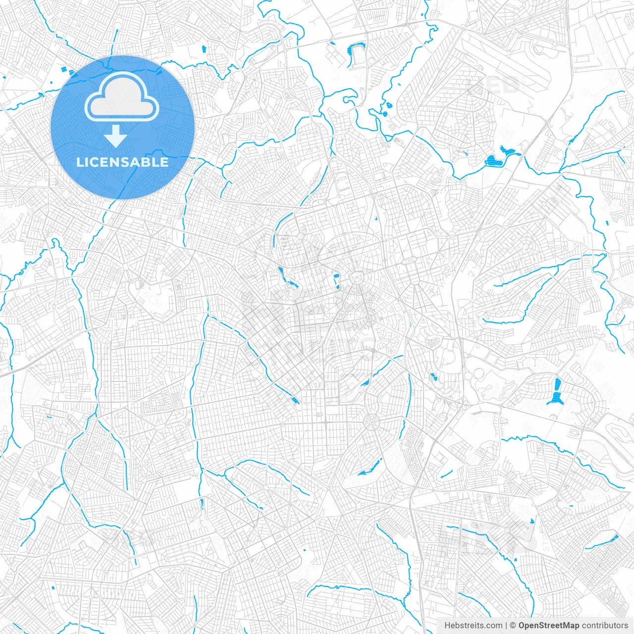 Goiania, Brazil PDF vector map with water in focus