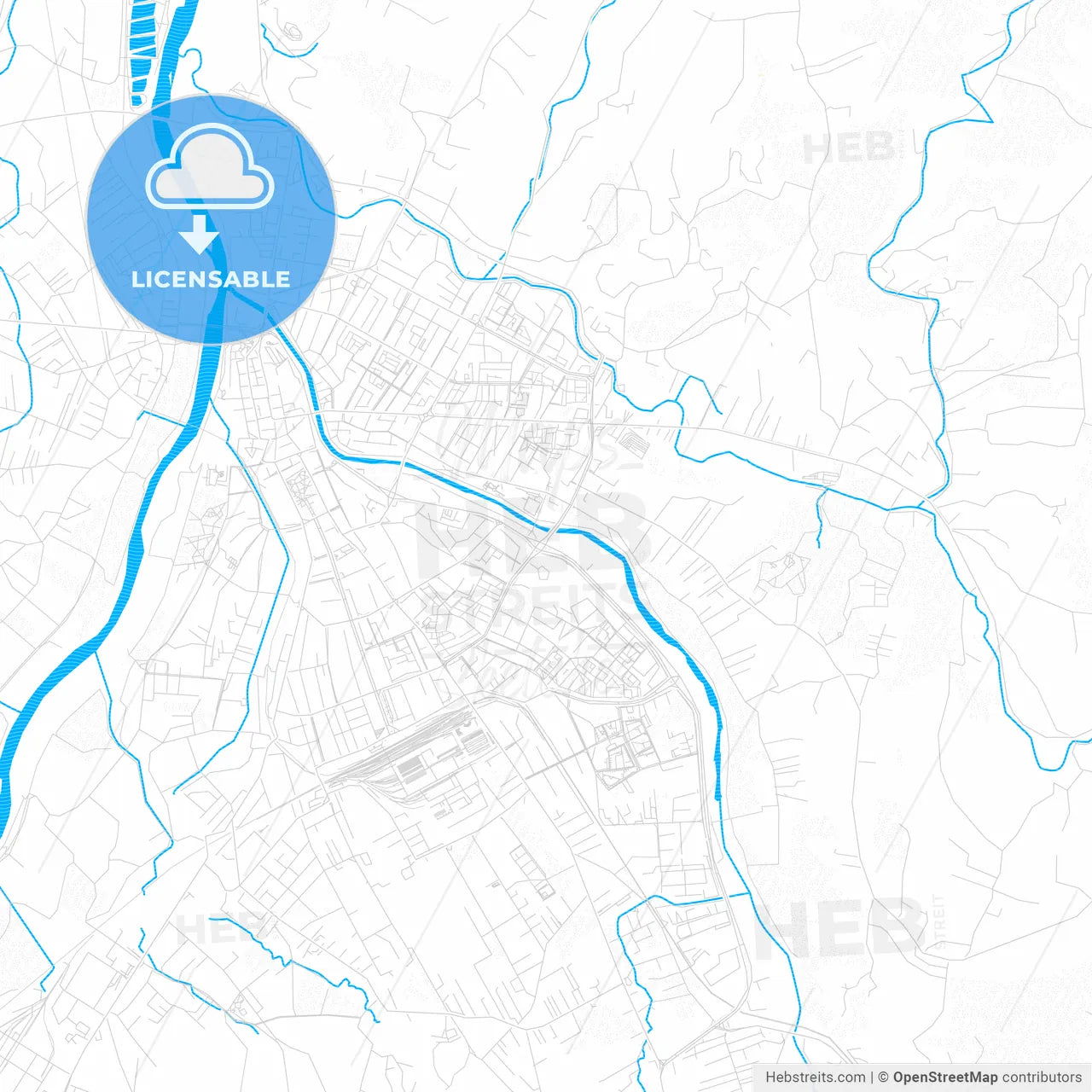 Nowy Sącz, Poland PDF vector map with water in focus