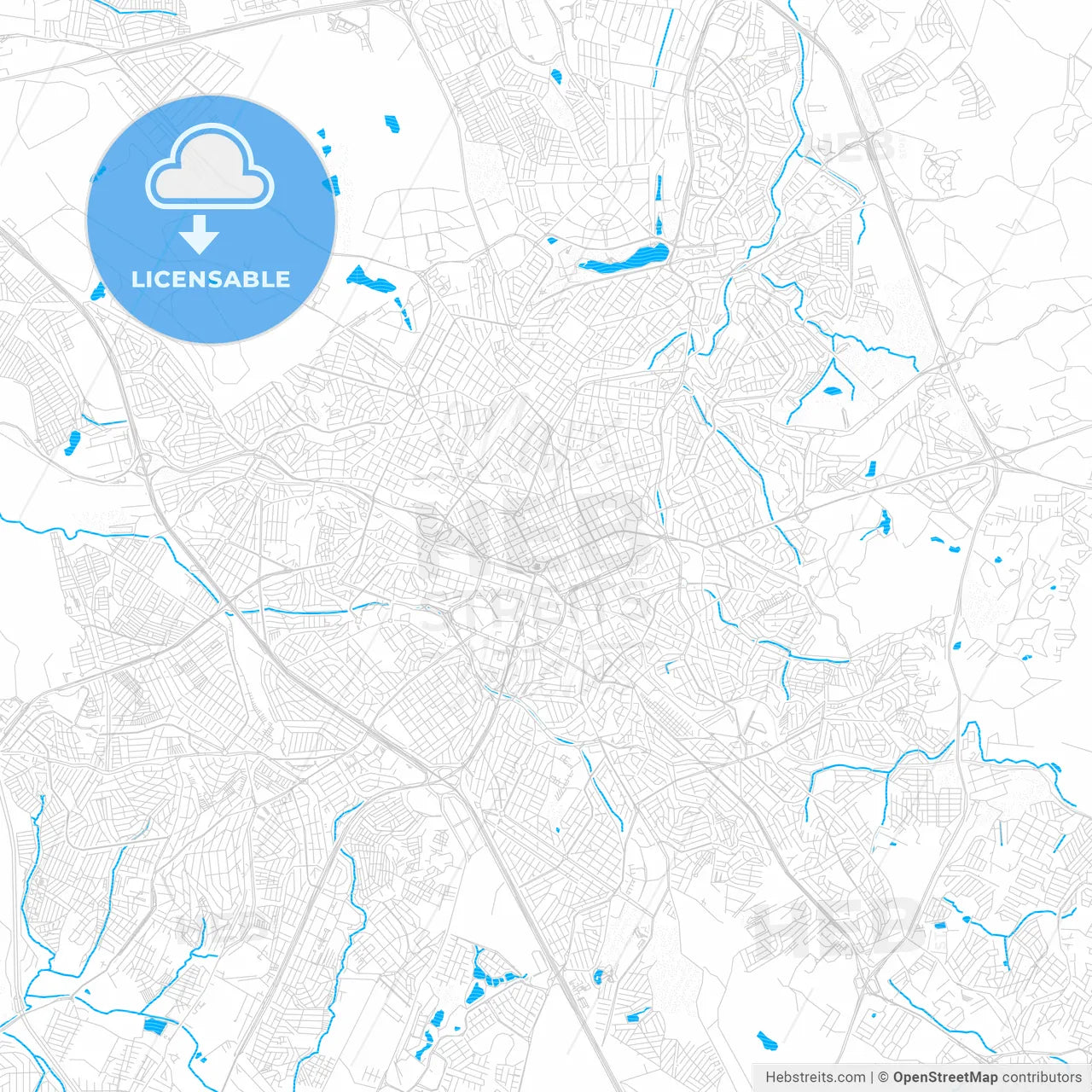 Campinas, Brazil PDF vector map with water in focus