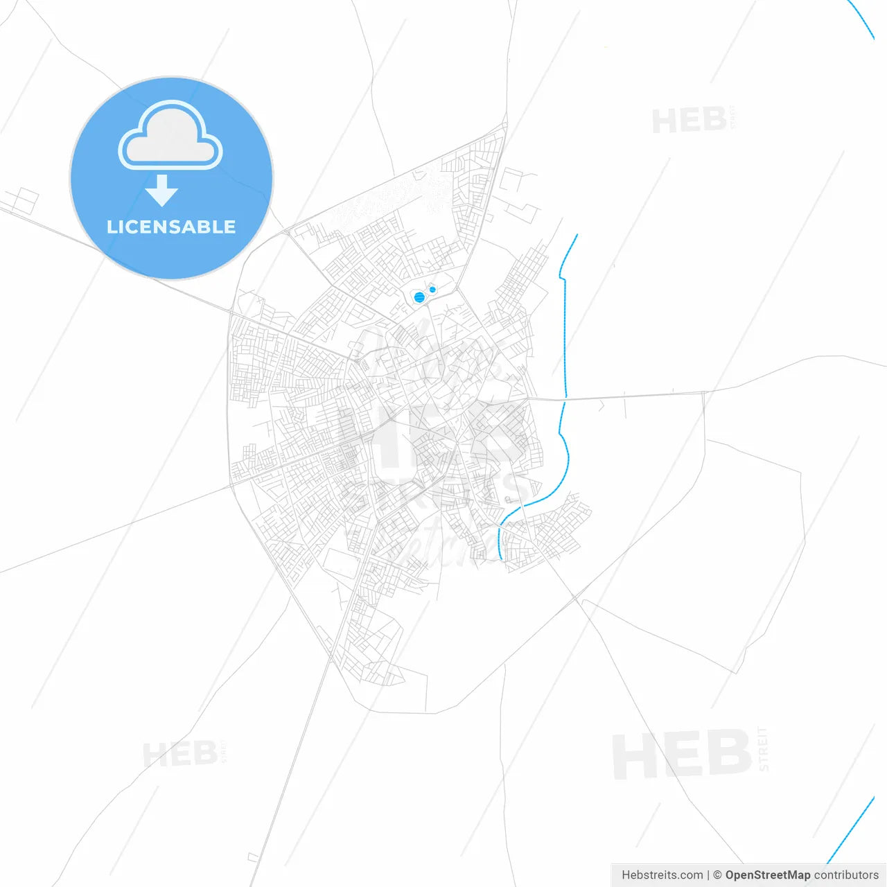Kairouan, Tunisia PDF vector map with water in focus