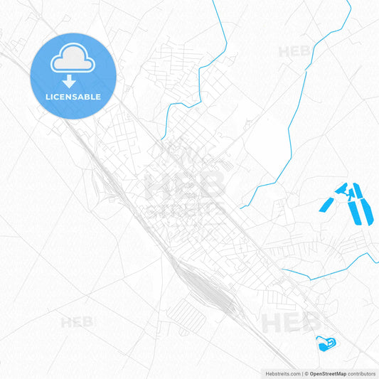 Radviliškis, Lithuania PDF vector map with water in focus