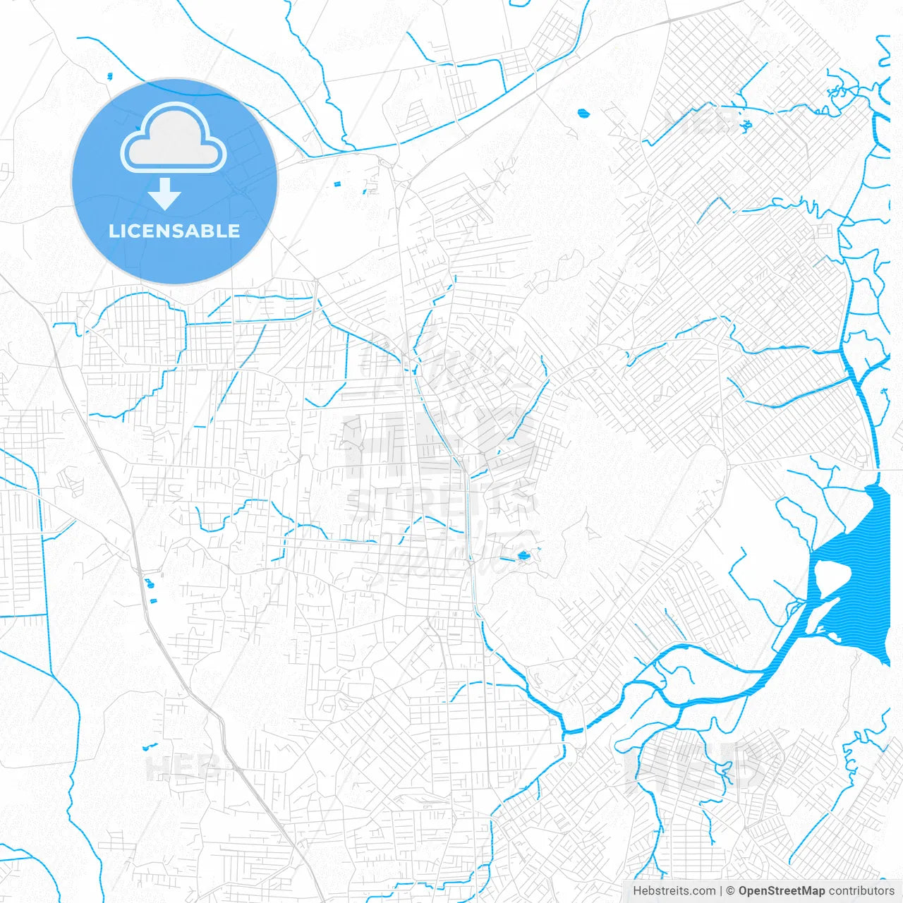 Joinville, Brazil PDF vector map with water in focus