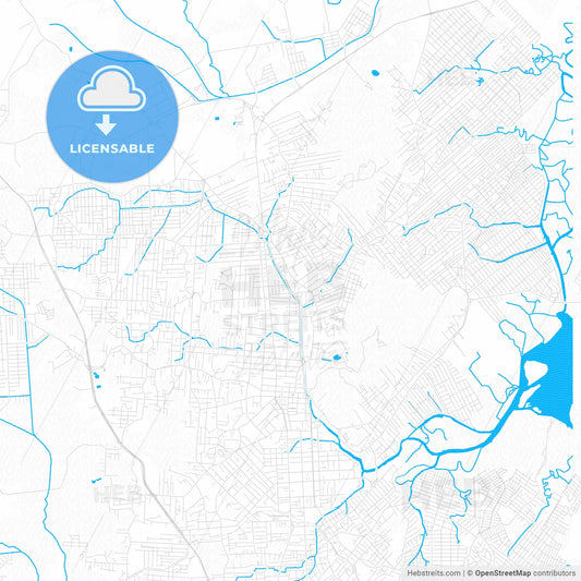 Joinville, Brazil PDF vector map with water in focus