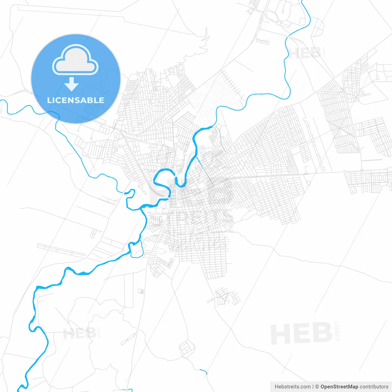 Barreiras, Brazil PDF vector map with water in focus