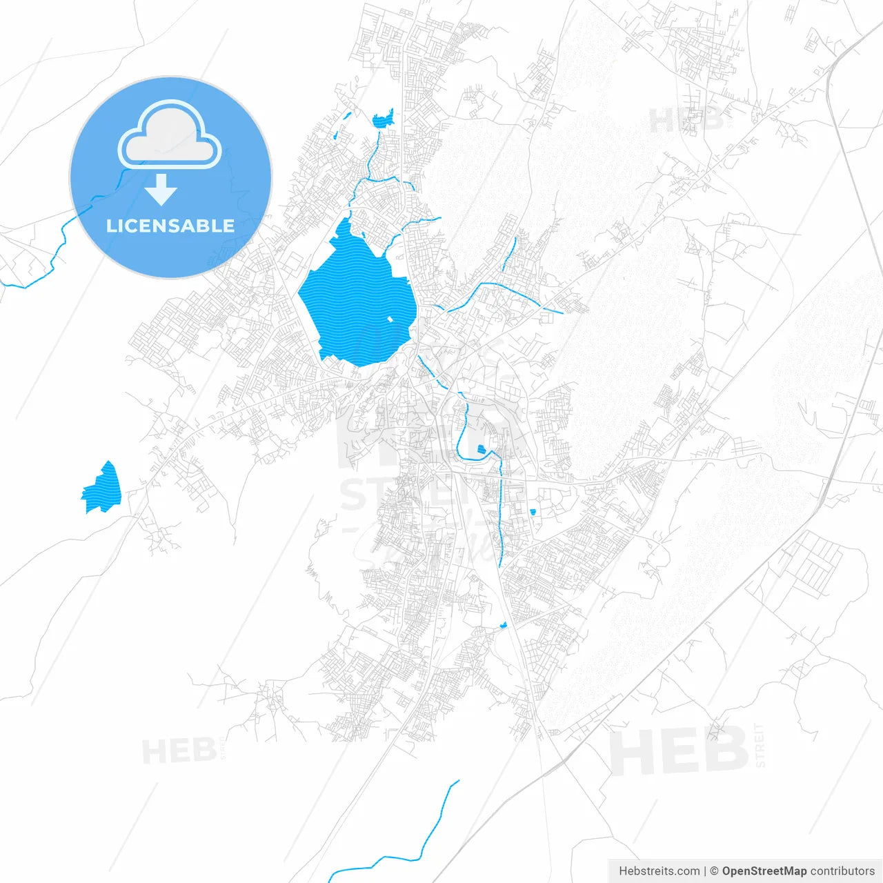 Ajmer, India PDF vector map with water in focus