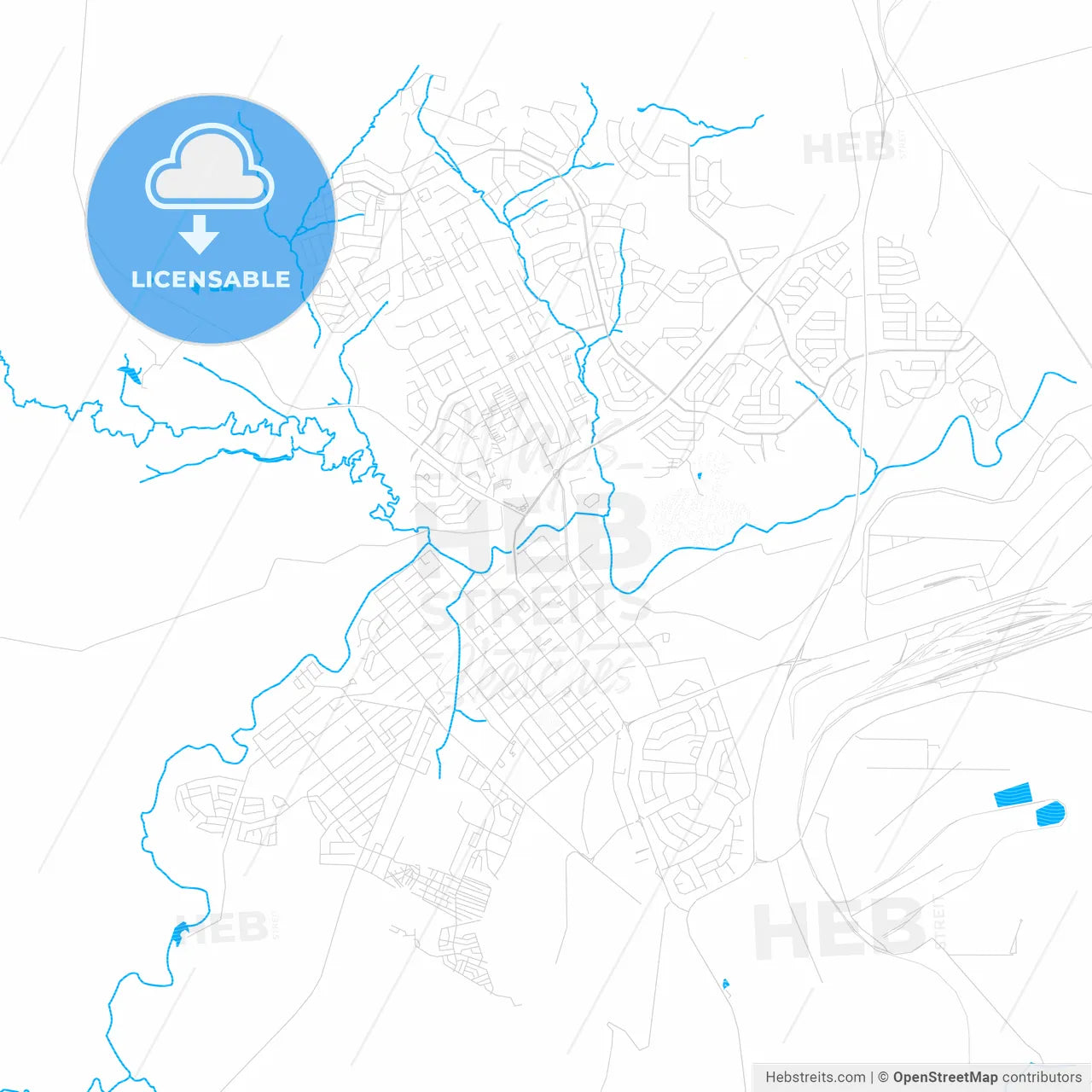 Newcastle, South Africa PDF vector map with water in focus