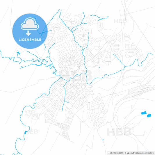 Newcastle, South Africa PDF vector map with water in focus