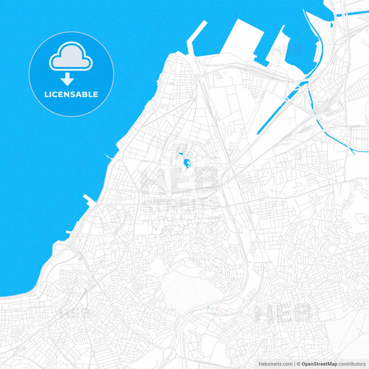 İzmir, Turkey PDF vector map with water in focus