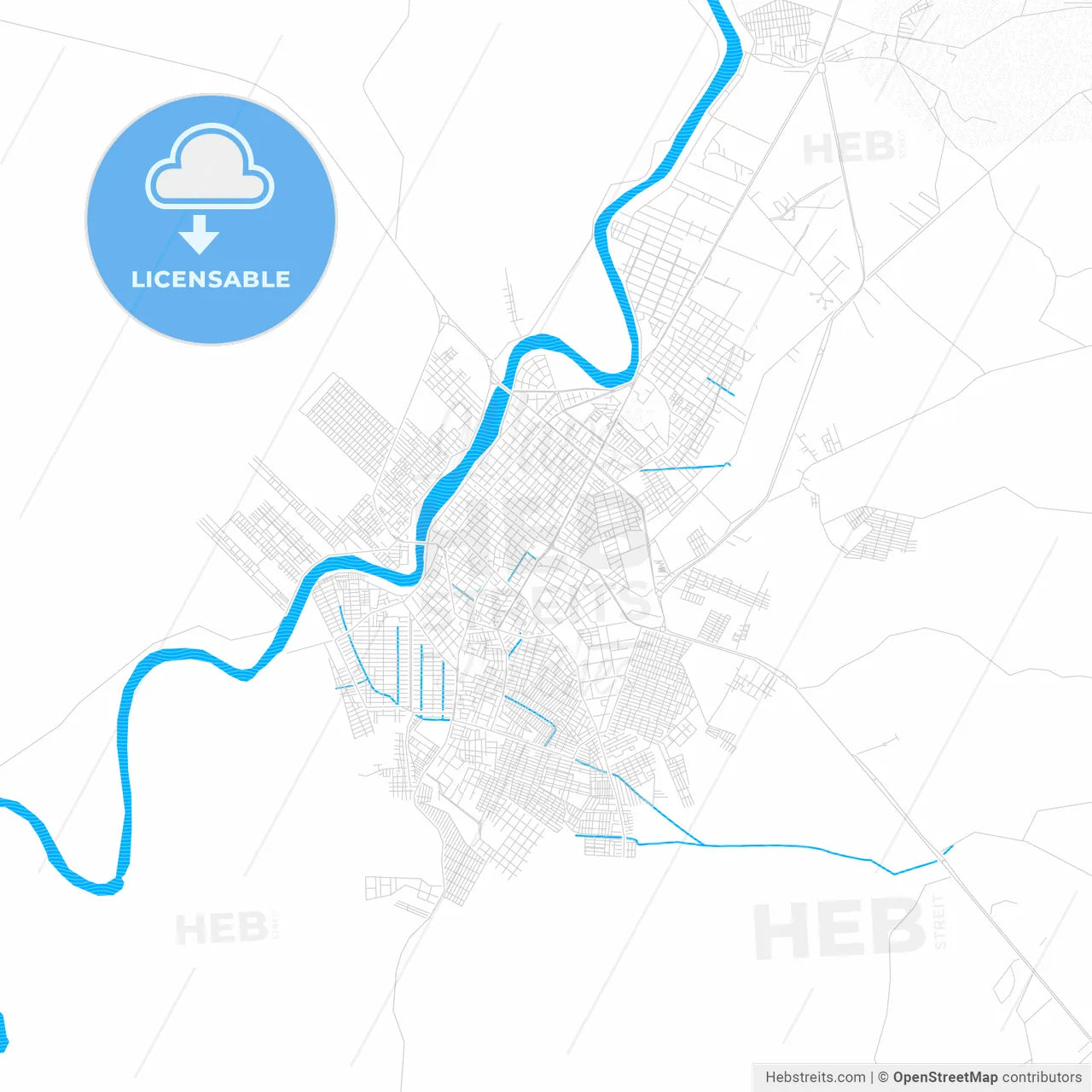 Monteria, Colombia PDF vector map with water in focus