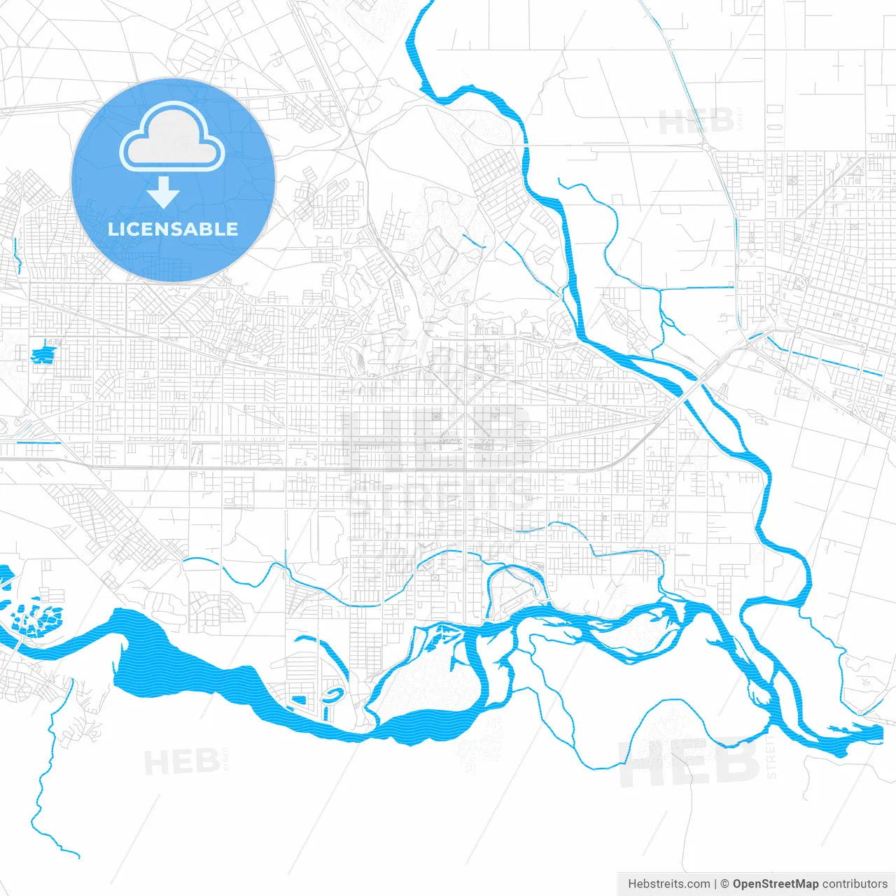 Neuquen, Argentina PDF vector map with water in focus