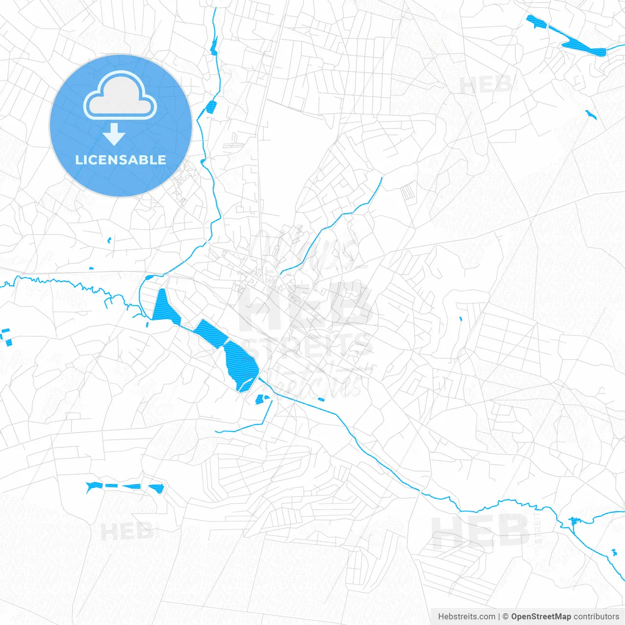 Vasylkiv, Ukraine PDF vector map with water in focus