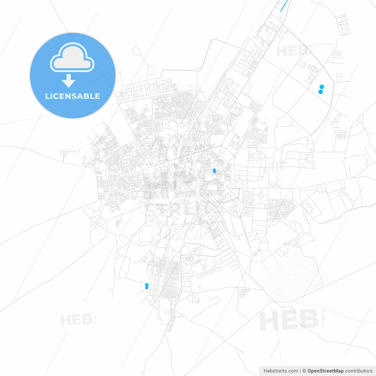 Bikaner, India PDF vector map with water in focus