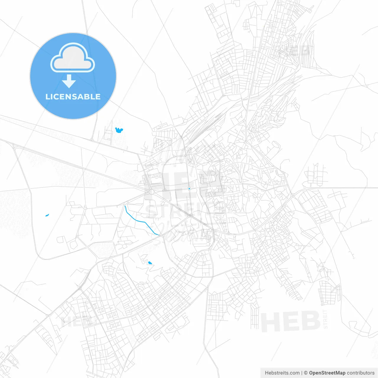 Erzurum, Turkey PDF vector map with water in focus