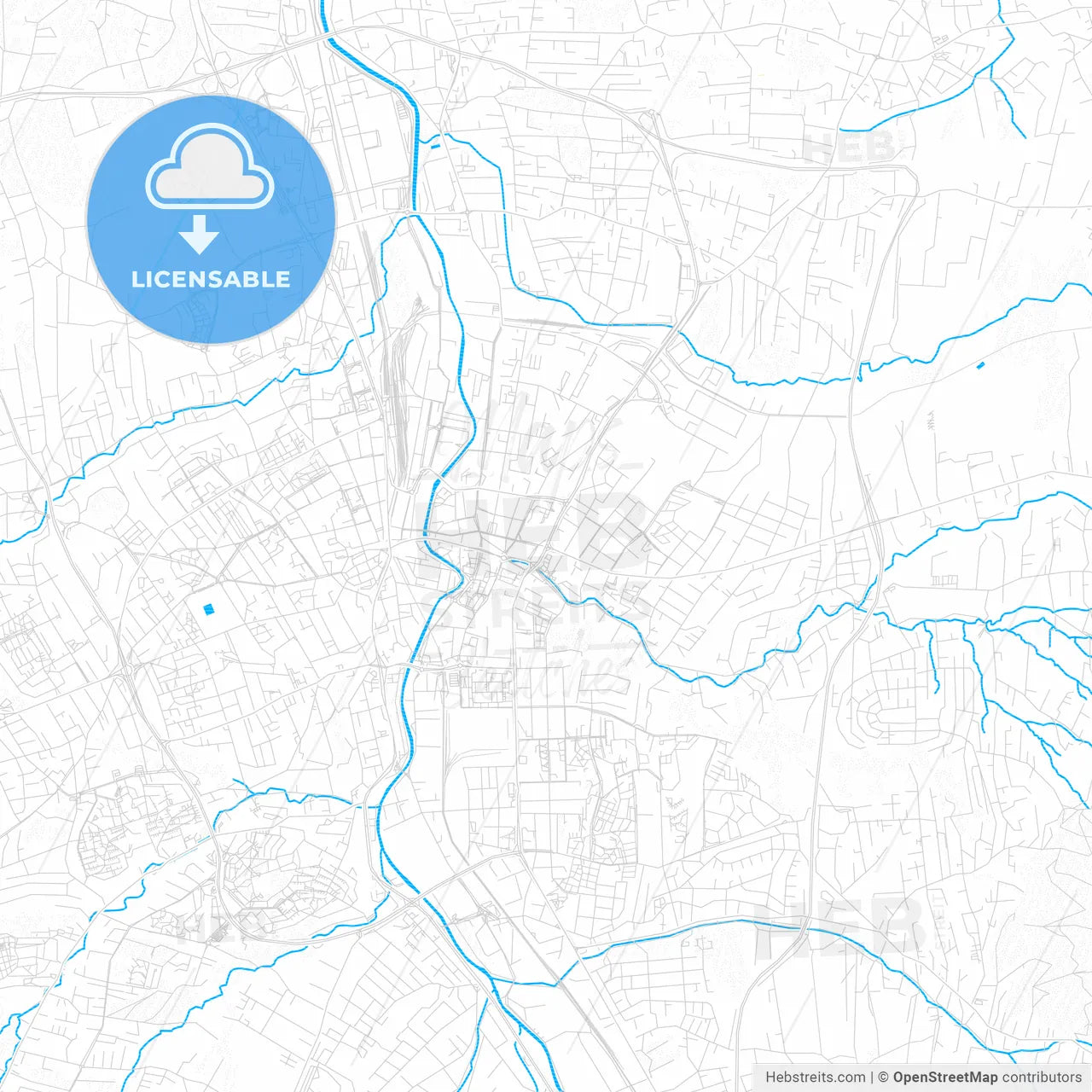 Bielsko-Biała, Poland PDF vector map with water in focus