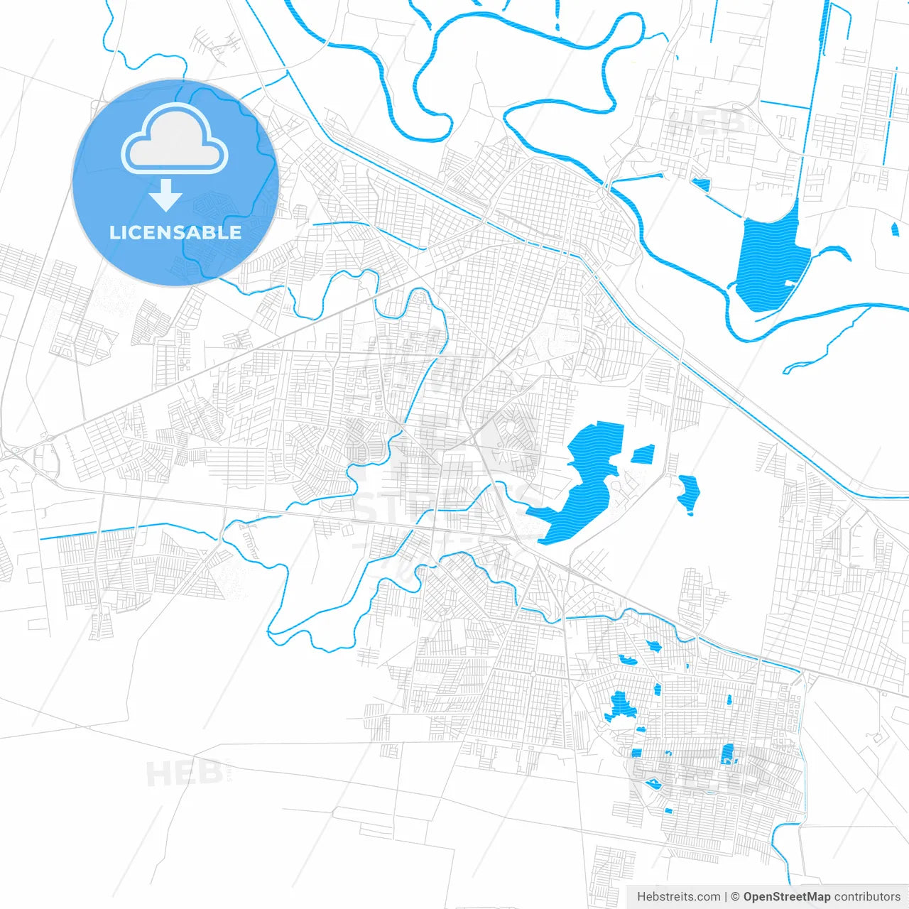 Reynosa, Mexico PDF vector map with water in focus