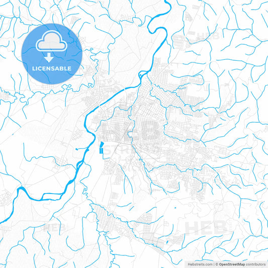 Poza Rica, Mexico PDF vector map with water in focus