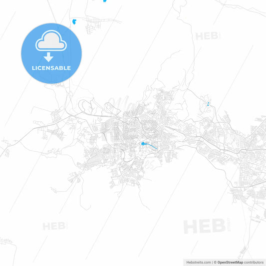 Zacatecas, Mexico PDF vector map with water in focus