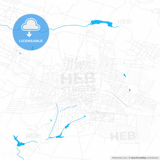 Shakhtarsk, Ukraine PDF vector map with water in focus
