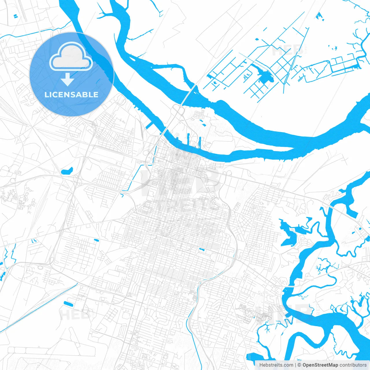 Savannah, Georgia, United States, PDF vector map with water in focus