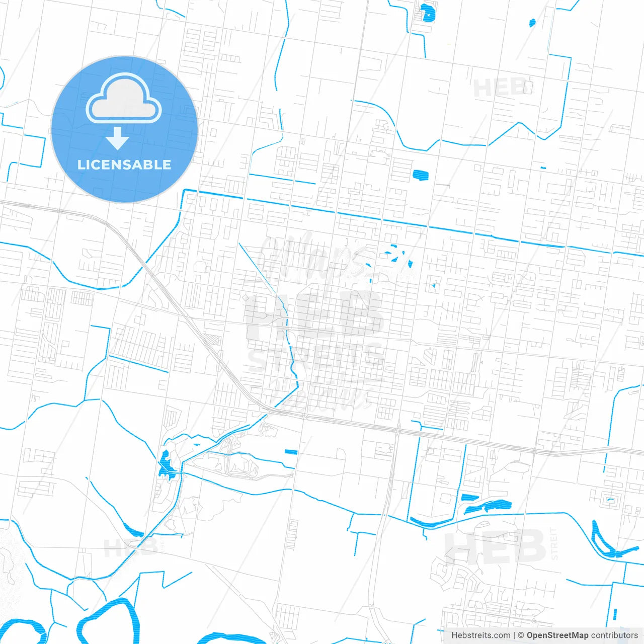 Mission, Texas, United States, PDF vector map with water in focus