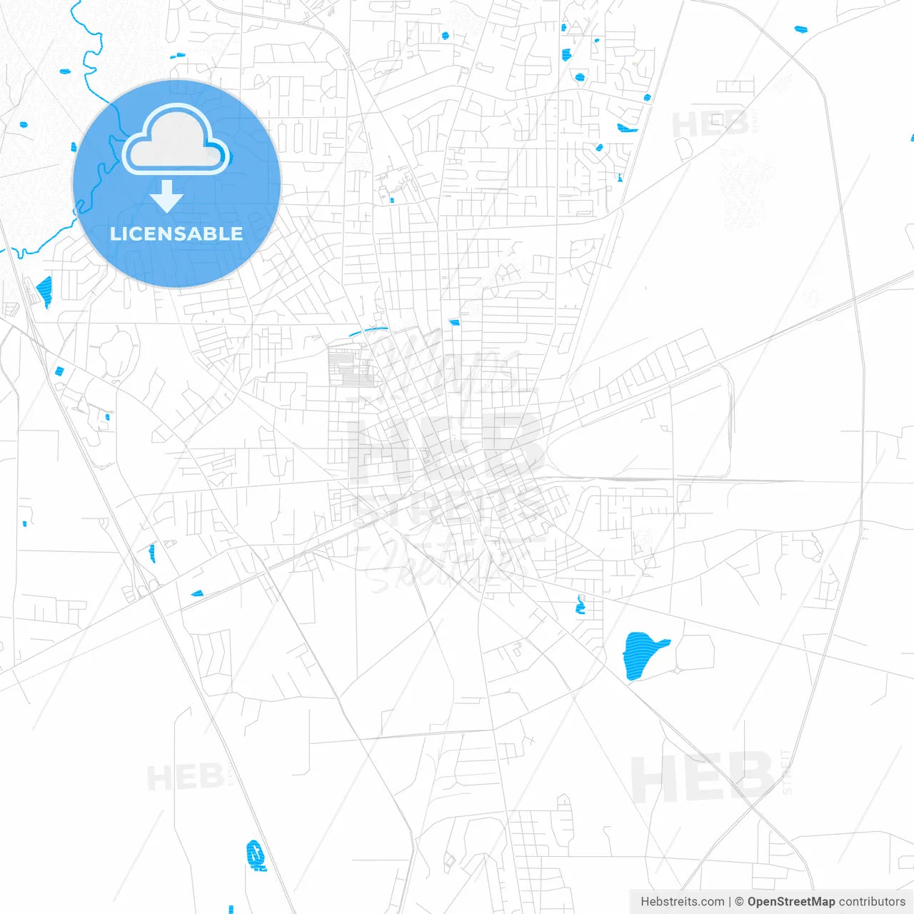 Valdosta, Georgia, United States, PDF vector map with water in focus
