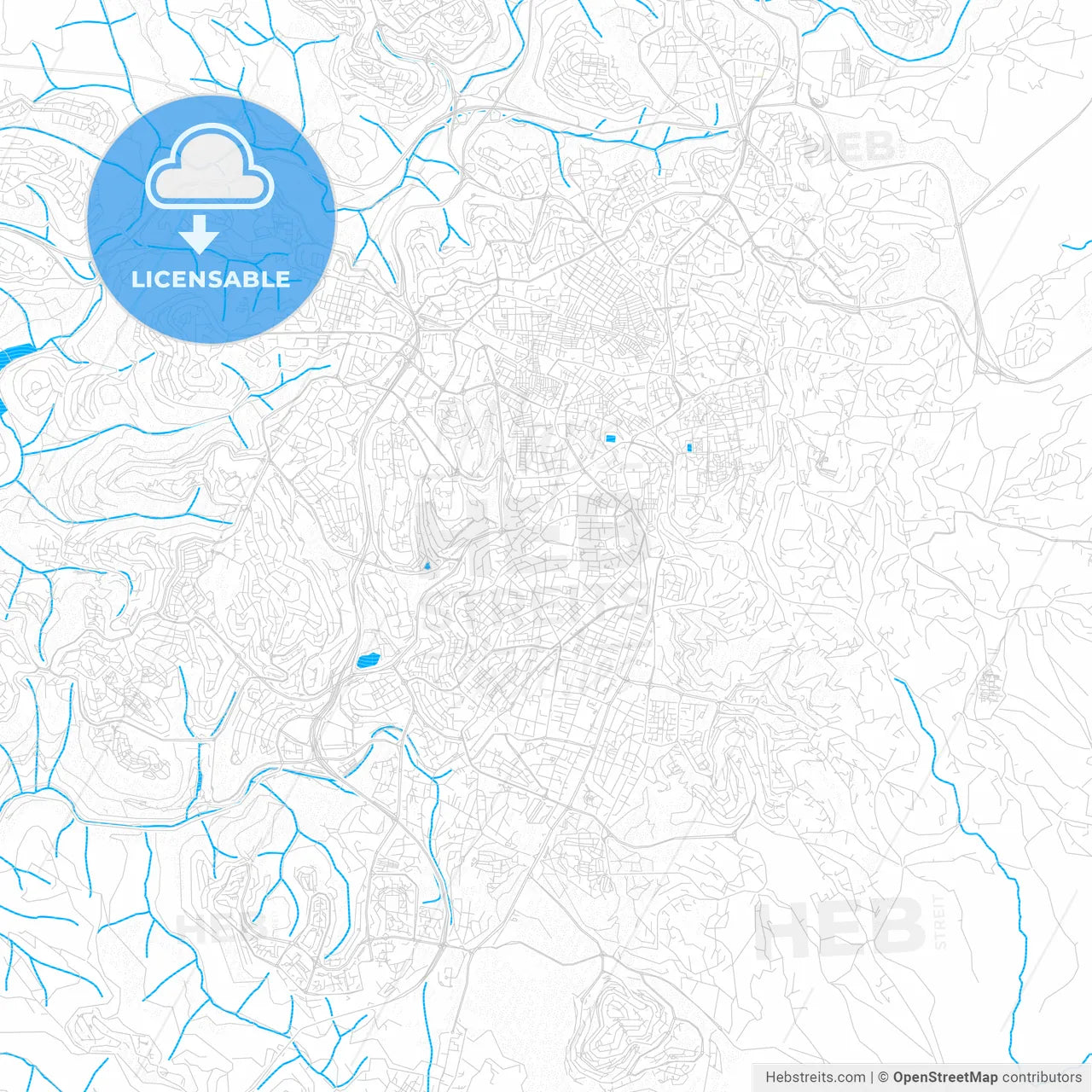 Jerusalem, Israel PDF vector map with water in focus