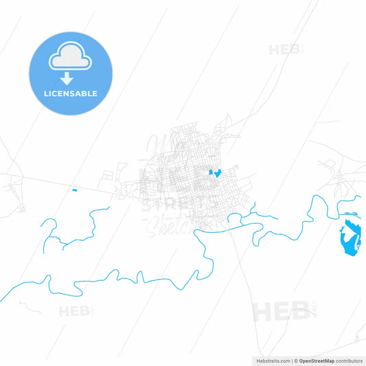 Gashua, Nigeria PDF vector map with water in focus