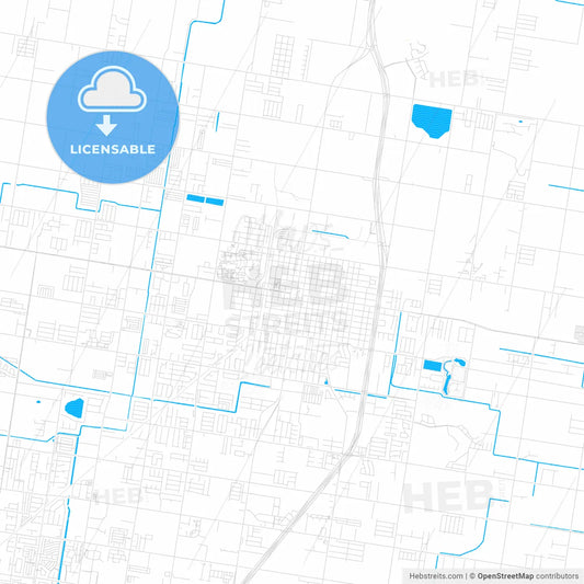 Edinburg, Texas, United States, PDF vector map with water in focus