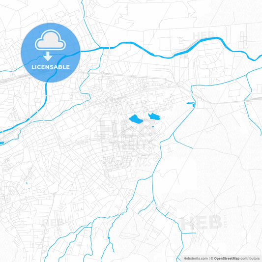 Cluj-Napoca, Romania PDF vector map with water in focus