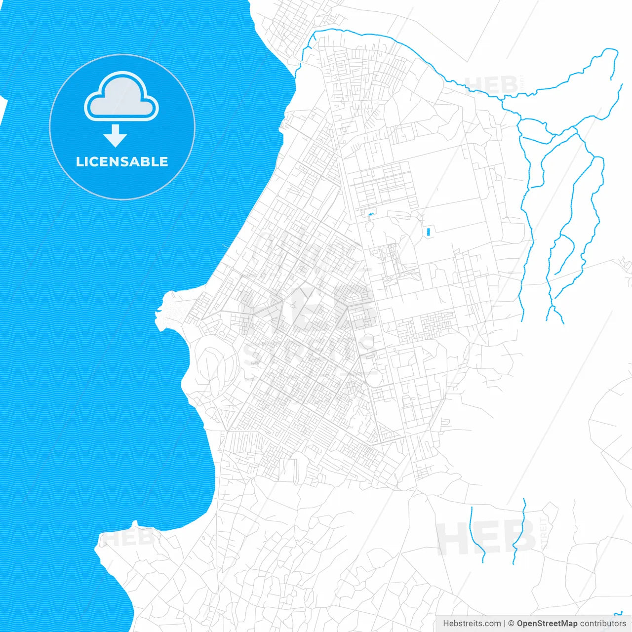 Hawassa, Ethiopia PDF vector map with water in focus