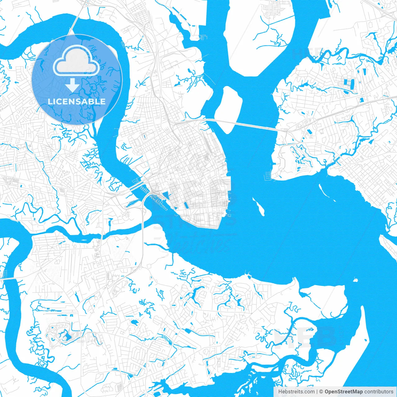 Charleston, South Carolina, United States, PDF vector map with water in focus
