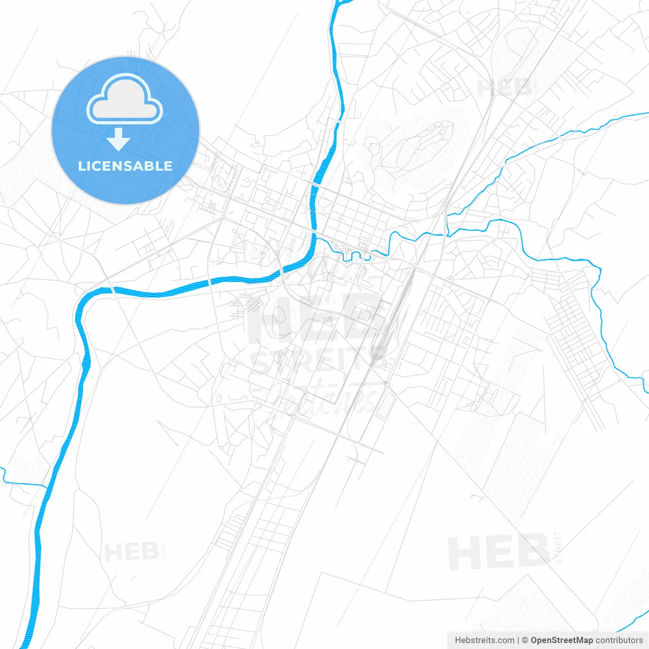 Podgorica, Montenegro PDF vector map with water in focus