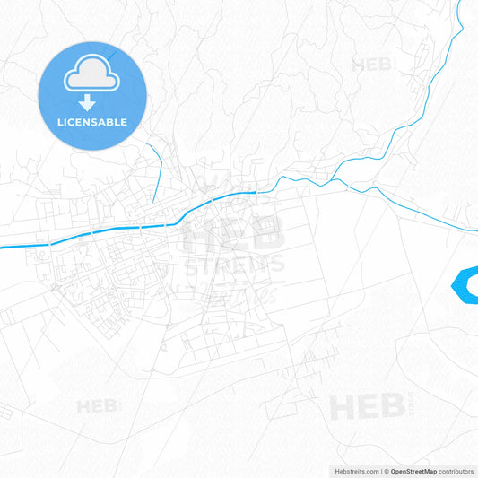 Baia Mare, Romania PDF vector map with water in focus