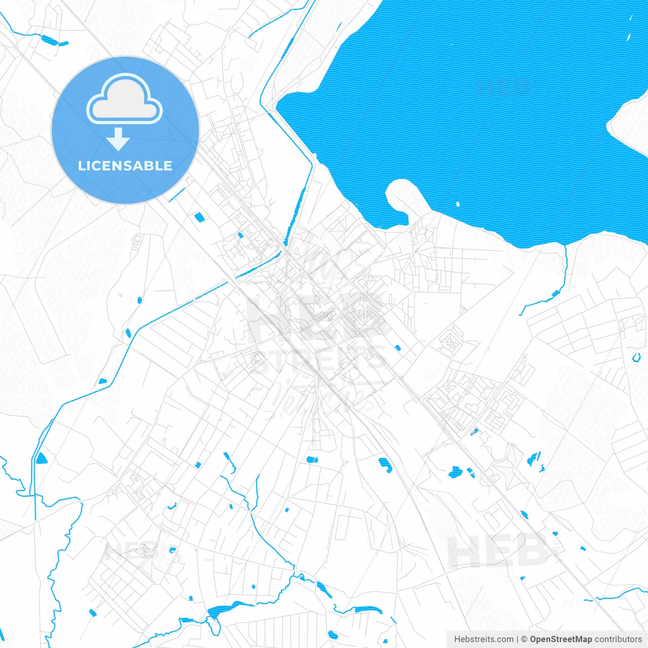 Solnechnogorsk, Russia PDF vector map with water in focus