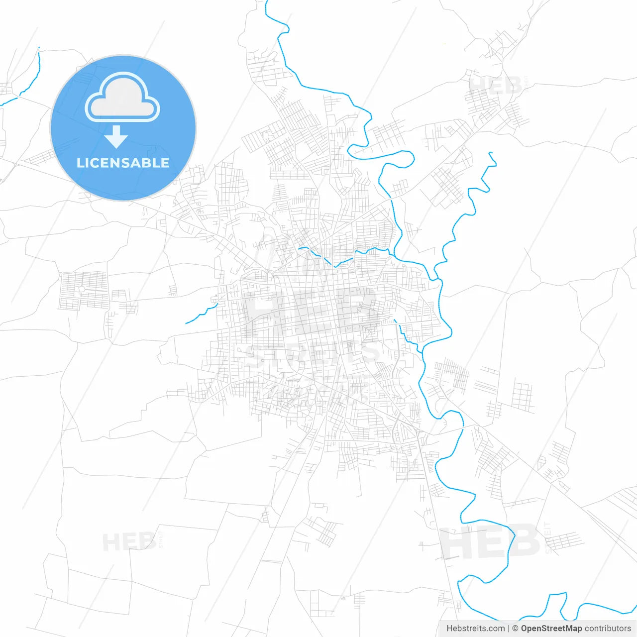 San Miguel, El Salvador PDF vector map with water in focus